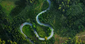 Aerial View Of Winding Road Amidst Trees
