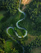 Aerial View Of Winding Road Amidst Trees
