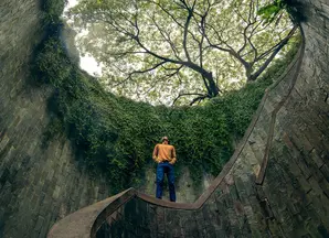 Person standing looking up at canopy