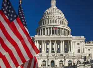 united_states_capitol_west_with_group_of_american_flags_in_washington_dc