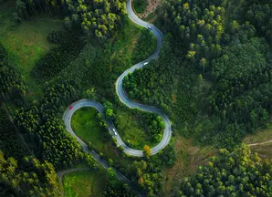 Aerial View Of Winding Road Amidst Trees
