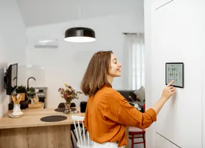 Domestic devices