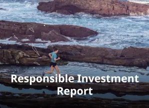 Teaser -Responsible Investment Report _DE