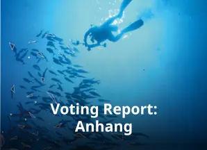 Voting report Anhang - Appendix