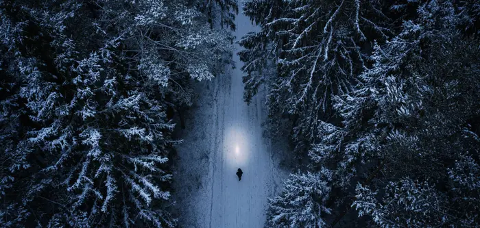 Best ideas investimenti tematici header immagine vista dall'alto di una strada innevata con degli alberi ai lati e una persona che cammina al centro