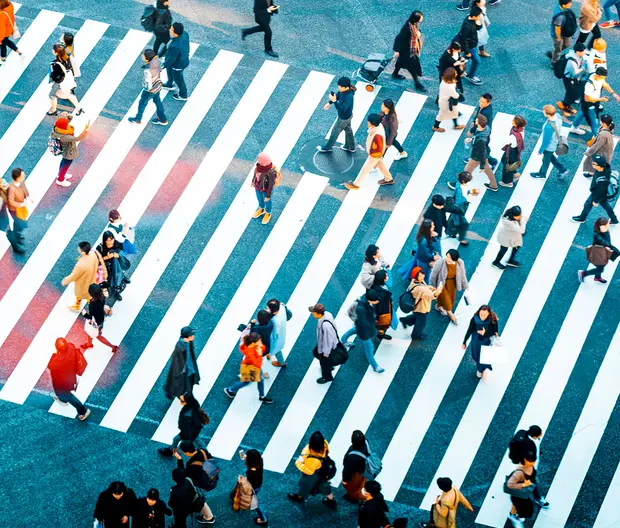 people walking on crosswalks