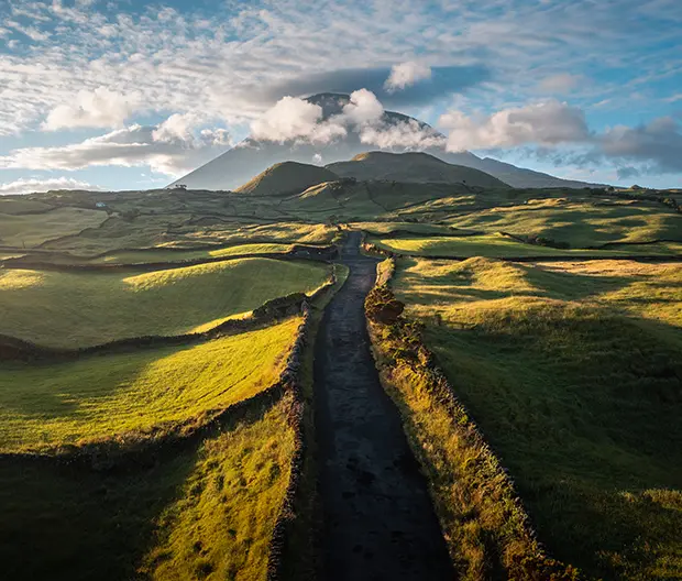 grüne hügelige Landschaft mit Weg 