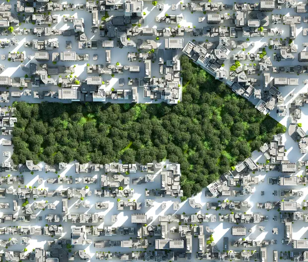 Une flèche en arbres dans une ville