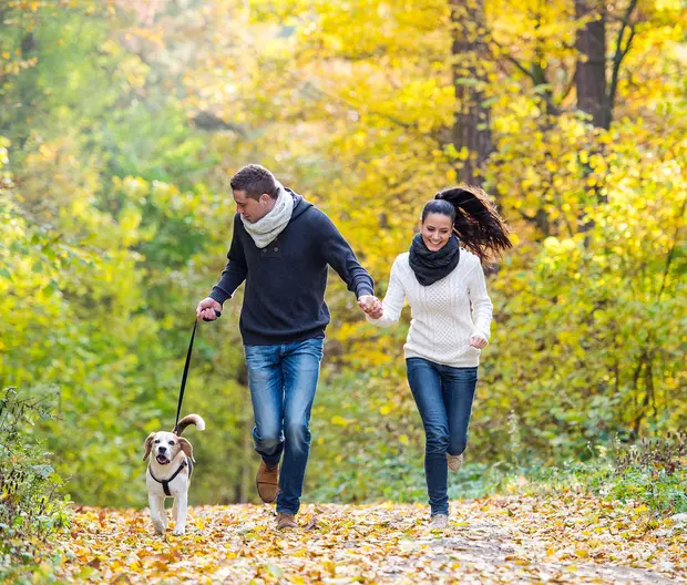 Un uomo e una donna corrono nel parco insieme al loro cane