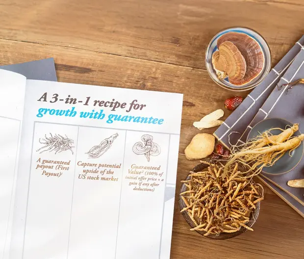 Guaranteed Fund 1 Visual