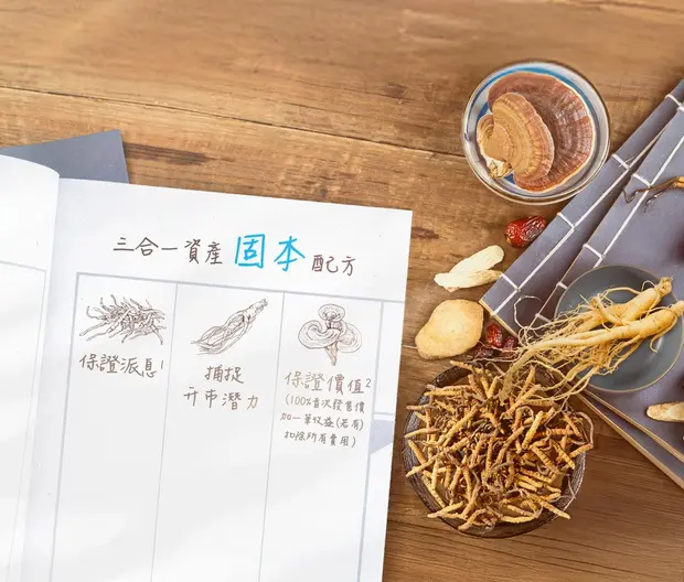 Guaranteed Fund 1 Visual