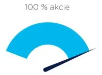 100-percent-akcie_medium