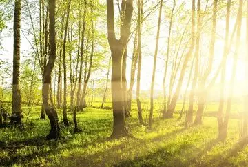 af_global_ecology_esg_amundi_cz