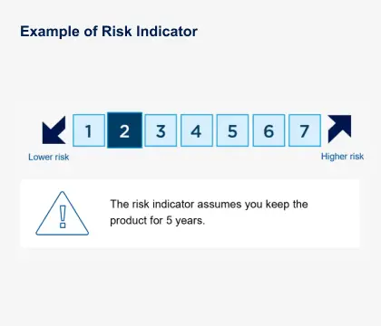 example of risk indicator level 2