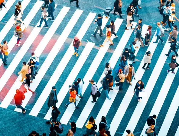 people walking on crosswalks