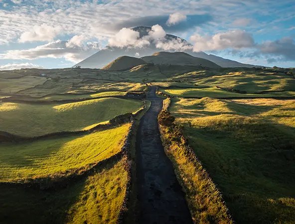 grüne hügelige Landschaft mit Weg 