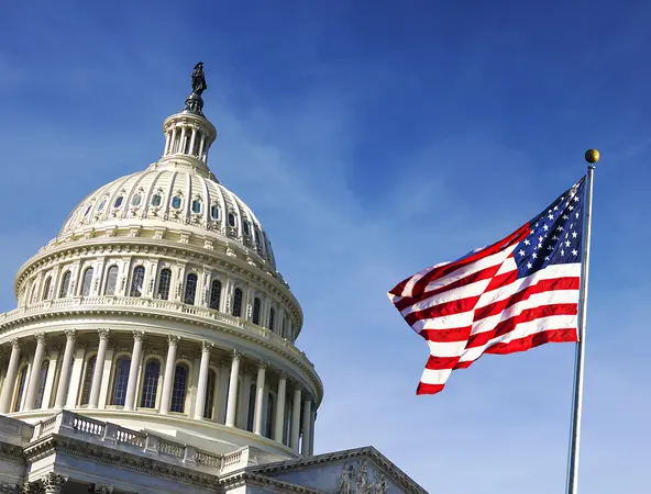 american flag with US capitol