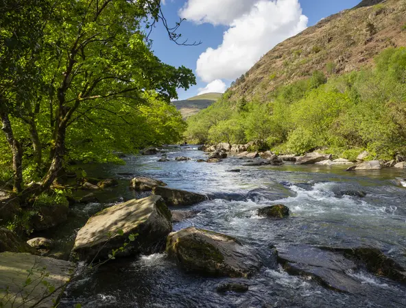 Une rivière
