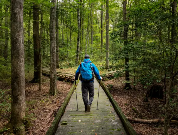 man hiking in the forest