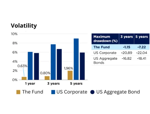 Volatility USSTB Dec 2024 EN