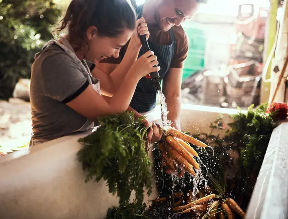 Un homme et une femme rincent des carottes