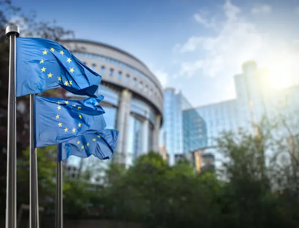 European union flag against parliament in Brussels