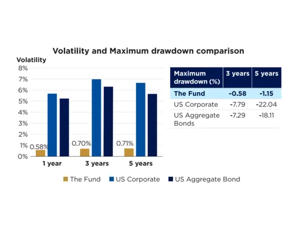 Volatility Comparison