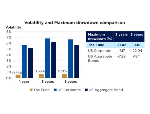 Volatility Comparison