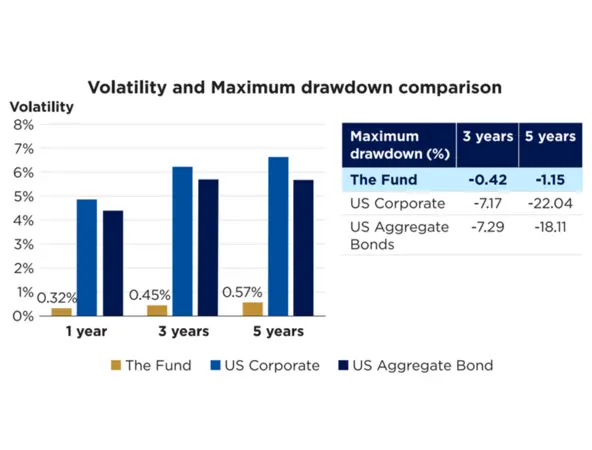 Volatility Comparison