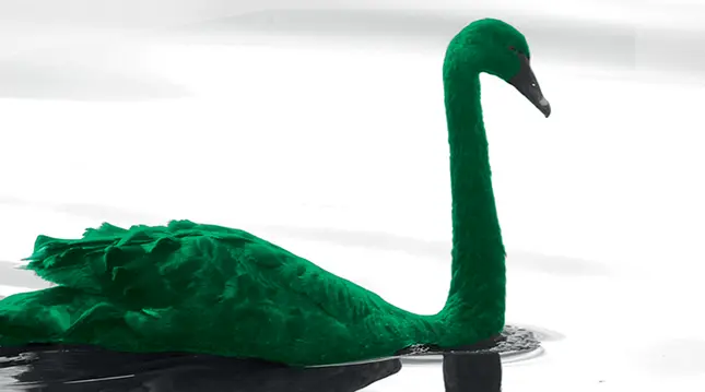 Slider-1280x400-GreenSwan.png