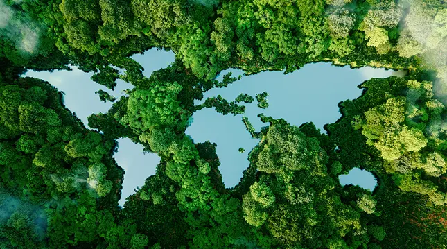 The Market Effect of Acute Biodiversity Risk: the Case of Brazilian Corporate Bonds