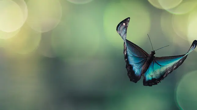 The next stage of ESG evolution in the pension landscape