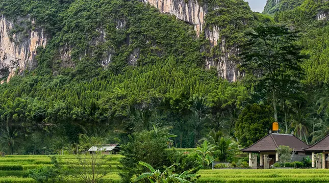 Responsible Investment Views Asia