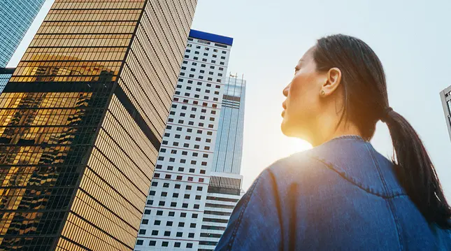 Resilient Emerging Markets in the Great Diversification