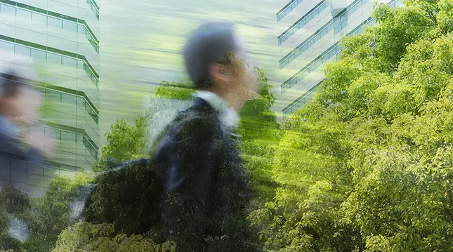 Blended Finance: scaling capital for sustainable impact