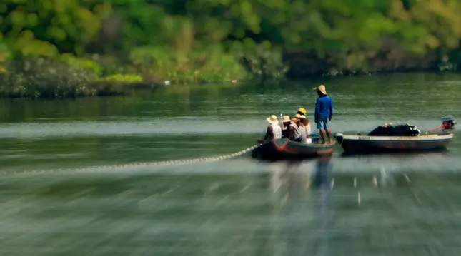 ESG Thema Special COP30