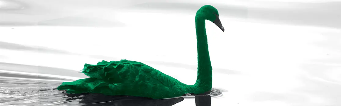 Slider-1280x400-GreenSwan.png