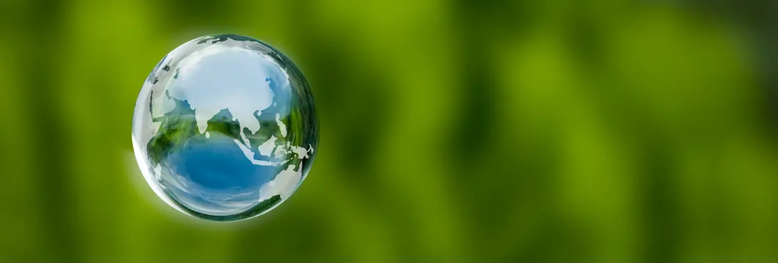 The Recent Performance of ESG Investing, the Covid-19 Catalyst and the Biden Effect