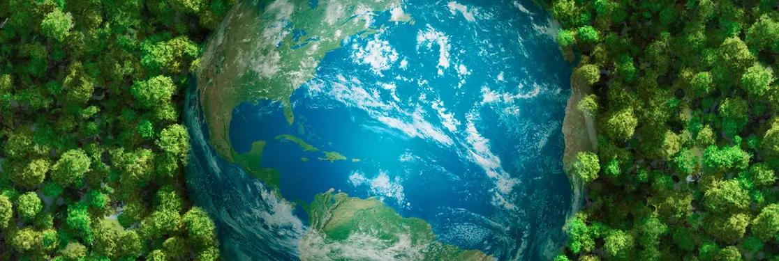 The shift from Carbon Emissions to Net Zero Carbon metrics on Portfolio Construction