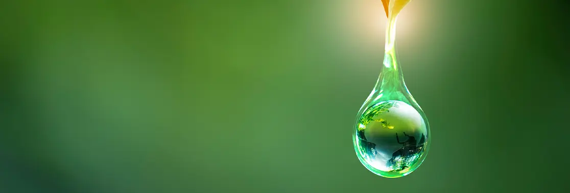 ESG journey is set to accelerate in credit markets