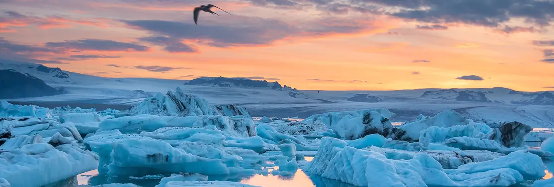 H2 2022 Investment Outlook - Life above zero: investors’ journey at a time of rising rates