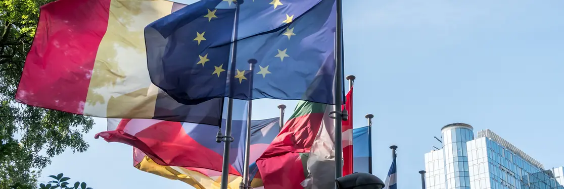When fiscal policy puts the European institutions under pressure