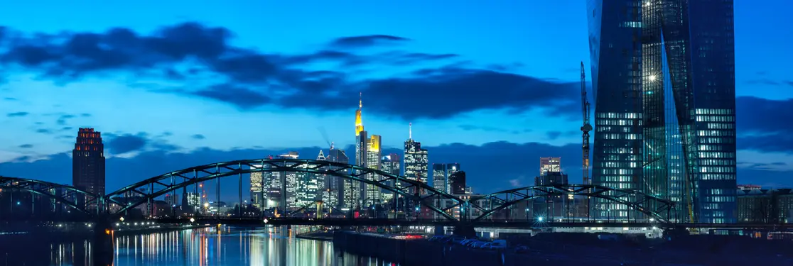 ECB-inspired rally risks going too far