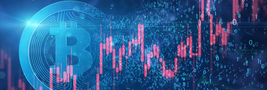 Crypto crunch: what’s next?