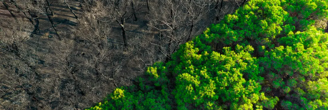 Climate change and social inequality: how does climate change impact on inequality?