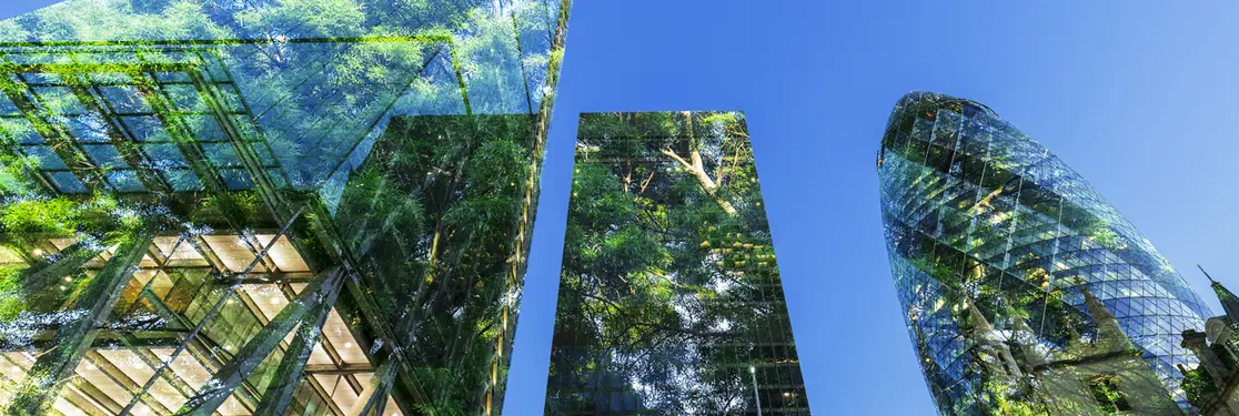 Net Zero investing and its impact on a 60-40 allocation