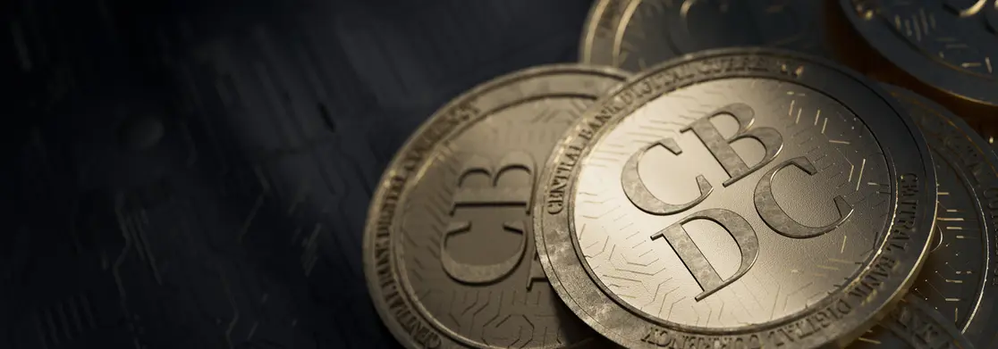 CBDCs: where does the project and debate stand?