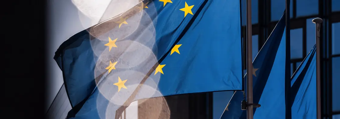 Topic of the month - Europe: time for fiscal consolidation