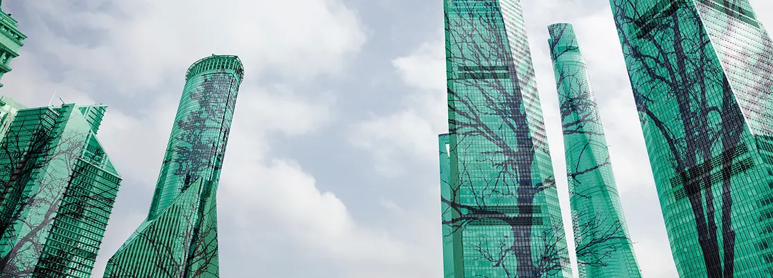 Who will finance the green transition? Can central banks help?