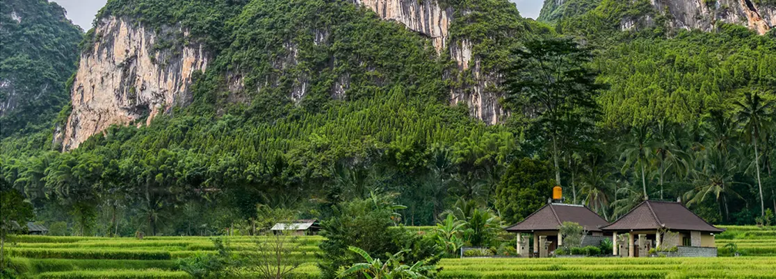 Responsible Investment Views Asia